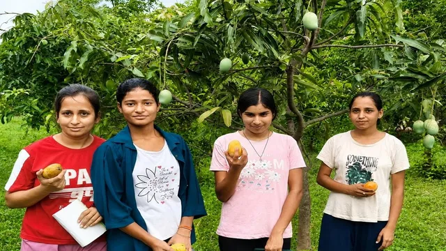 बोकारो की चार बहनों ने आम की बागवानी से लिखी आत्मनिर्भरता की कहानी, बनीं प्रेरणा